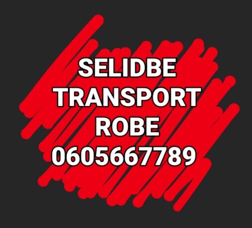 selidbe-transport-robe-beograd-srbija-od-2000-dinara-big-0