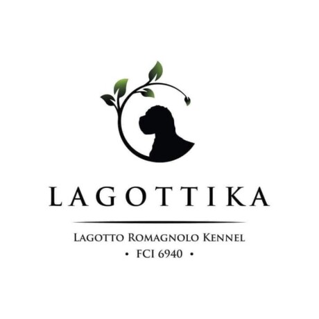 lagotto-romagnolo-stenci-big-0