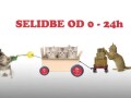selidbe-beograd-agencija-za-selidbe-u-beogradu-small-0