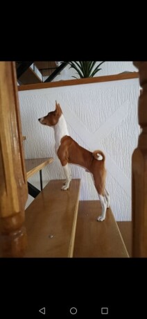 basenji-stenci-big-1