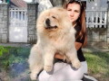 chow-chow-zenka-i-muzjak-small-0