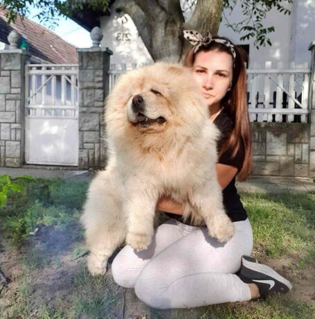 chow-chow-zenka-i-muzjak-big-0