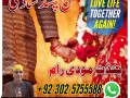 love-marriage-specialist-astrologer-problem-solution-small-2