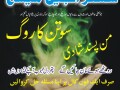 najoomi-amil-baba-in-pakistan-lahore-islamabad-karachi-multan-oman-uk-usa-small-1