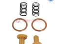 rebuild-kit-for-c12-cat-and-rebuild-kit-for-cat-c15-supplier-small-0