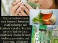 biljna-mesavina-sa-uva-listom-i-brezom-small-0