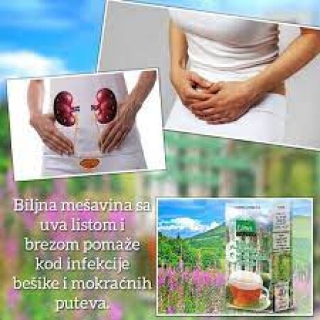 biljna-mesavina-sa-uva-listom-i-brezom-big-1