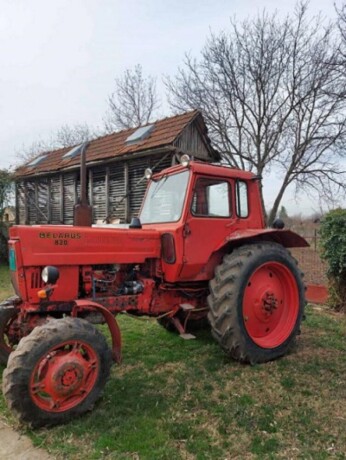 traktor-mtz-82-big-0