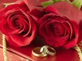velika-ponuda-predloga-za-druzenjeupoznavanjevezu-i-brak-small-0