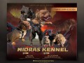 american-bully-midras-kennel-small-0