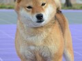 shiba-inu-stenci-small-2