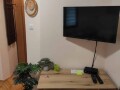 izdajem-apartman-u-centru-grada-za-exit-festival-small-1