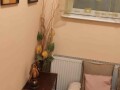 izdajem-apartman-top-tenis-za-vreme-egzita-small-1