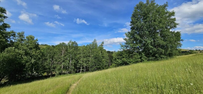 na-prodaju-plac-zlatibor-big-0