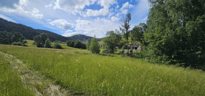 na-prodaju-plac-zlatibor-big-1