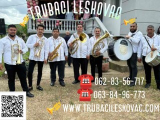 Trubački orkestar Zeljka Stamenkovica