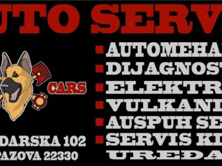 AUTO SERVIS ZA PUTNICKA I LAKA TERETNA VOZILA DO 3.5T