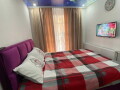 apartman-david-stan-na-dan-small-2